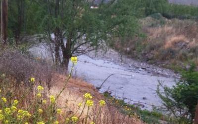 SAN FELIPE, PARCELA DE AGRADO SECTOR TIERRAS BLANCAS